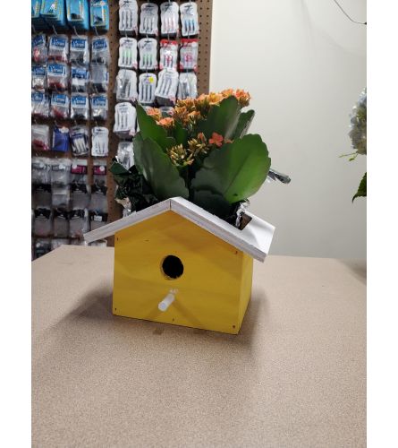 yellow birdhouse plant box