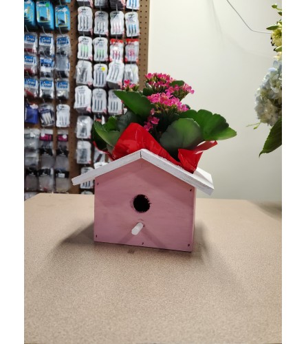 pink birdhouse plant box