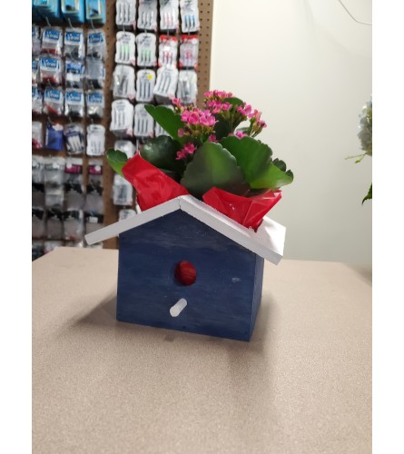 blue birdhouse plant box