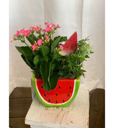 Watermelon Dish Garden. An arrangement by Floratechnics.