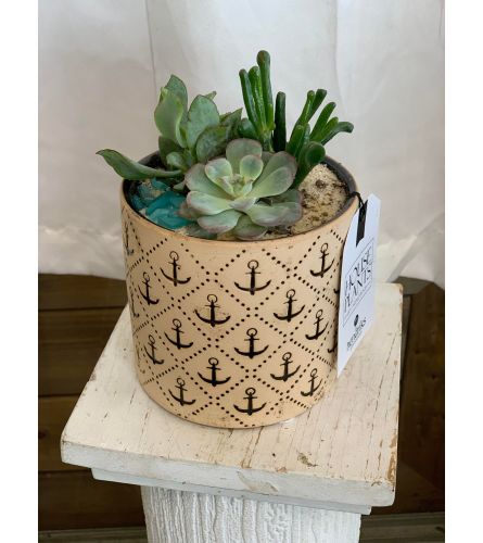 Anchor Succulent Planter