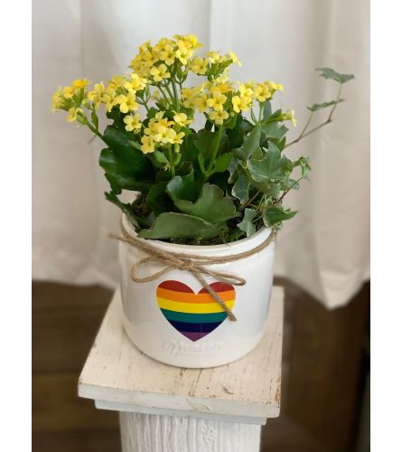 Rainbow Heart Dish Garden