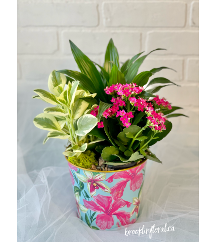 Summer Tropical Garden Pot. An arrangement by Brooklin Floral and Garden Shoppe Inc..