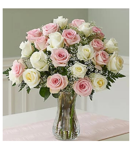 Pink and White Roses