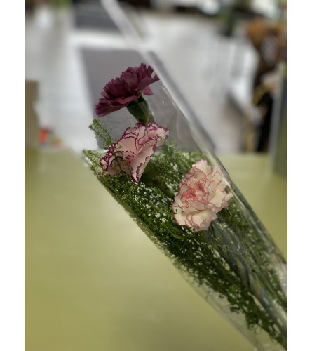 3 Carnations Wrapped in Cellophane. An arrangement by Lori's Hearts and Flowers.