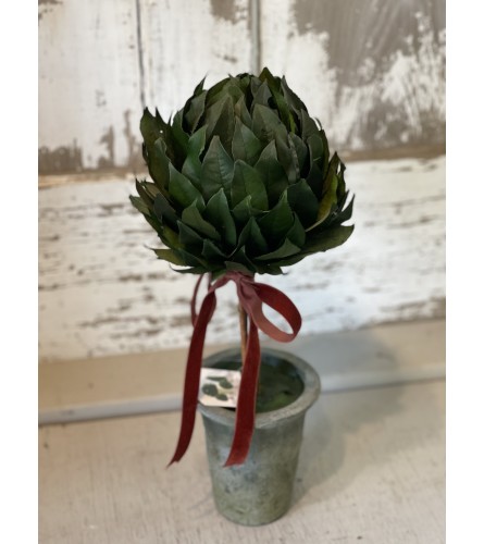 Lollipop Laurel Topiary with Ribbon. An arrangement by Metcalfe Florist and Pleasant View Greenhouses.