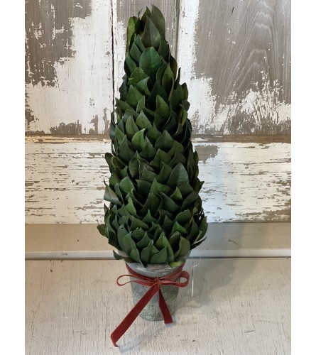 Tall Laurel Topiary with Ribbon. An arrangement by Metcalfe Florist and Pleasant View Greenhouses.