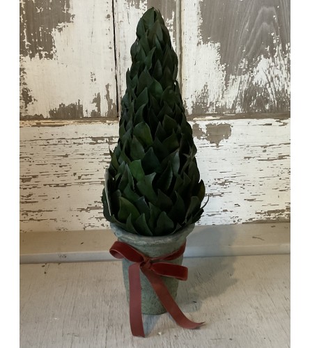 Small Laurel Topiary with Ribbon