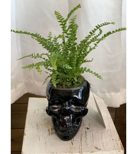 Skull with Fern (3 Styles to choose)