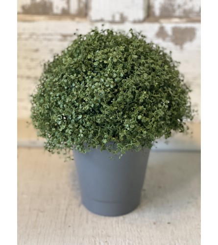 Green Orb in Grey Pot