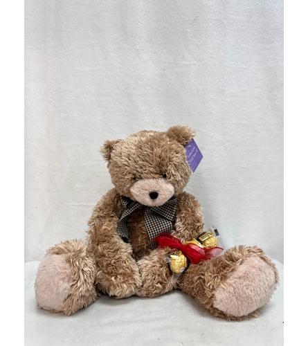 teddy Bear with chocolate
