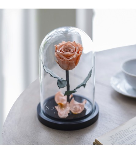 Peach Rose Dome