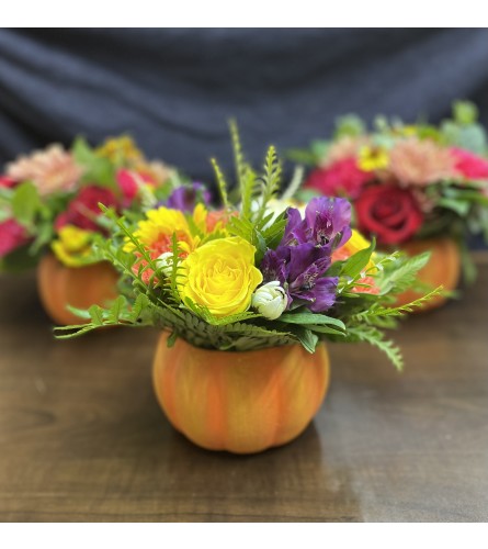 Florist Choice Pumpkin