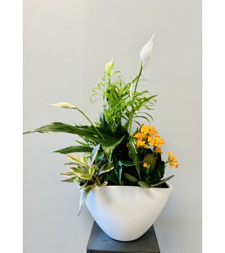 Serenity Planter