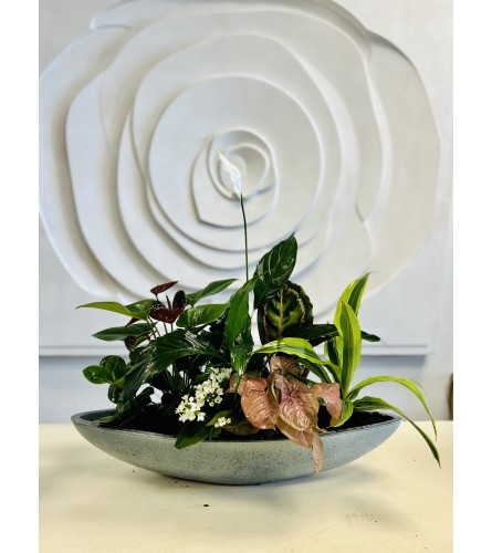 XL Ceramic Boat Planter. An arrangement by Marianna's Flower Island.