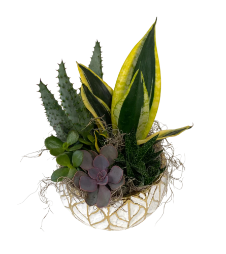 Gold Leaf Succulent Planter