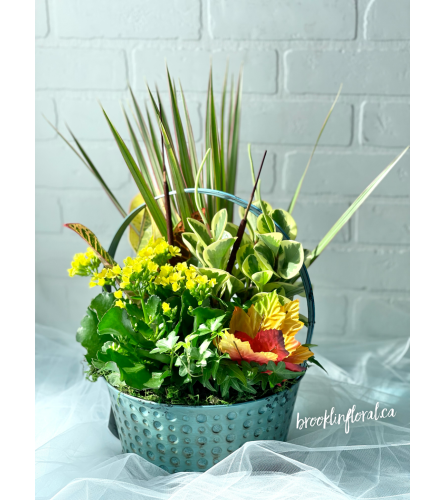 Tropical Dish Garden Metal Basket