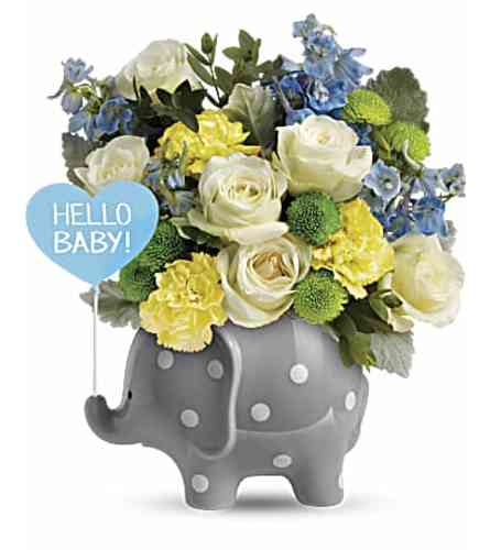 Hello Sweet Baby Elephant  for Boy