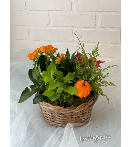 Fall Tropical Garden in Wicker Basket. An arrangement by Brooklin Floral and Garden Shoppe Inc..