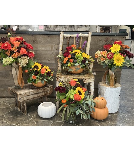 Donato's Floral Fall Selection