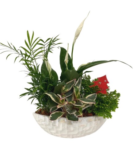 Christmas white shimmering peace lily boat