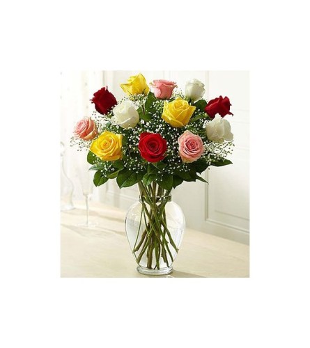 My Love Mixed Colored Rose Dozen