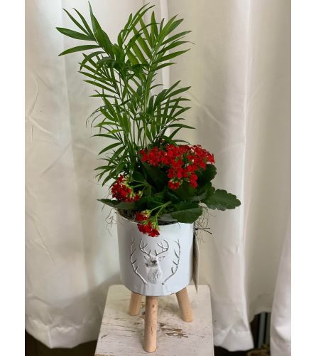 Blitzen Footed Metal Planter