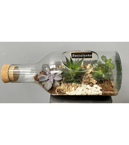 Glass Bottle Succulent Terranium. An arrangement by Marianna's Flower Island.