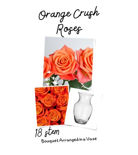 Orange Crush Rose Vase (12/12 deluxe/24)