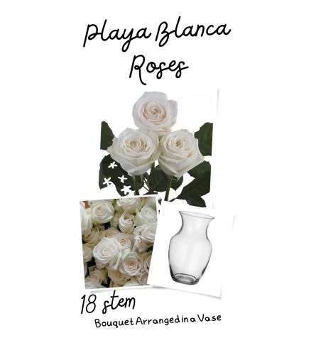 Playa Blanca White Rose Vase (12/12 deluxe/24) - Deluxe. An arrangement by Floratechnics.