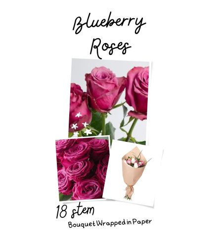 Blueberry (Purple) Roses Wrapped (no vase)