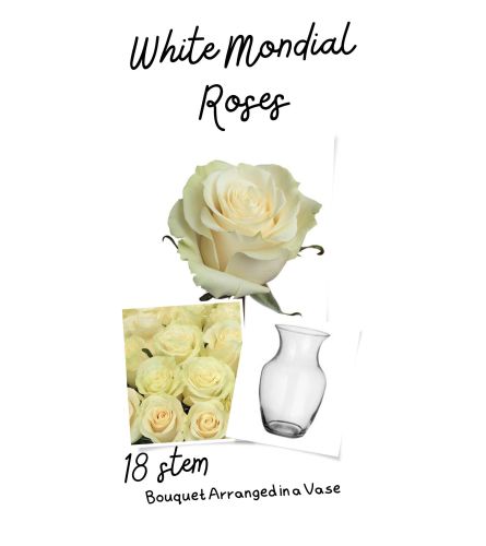 Off-white Mondial Roses Arranged in a Vase