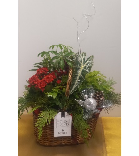 Christmas Basket Arrangement