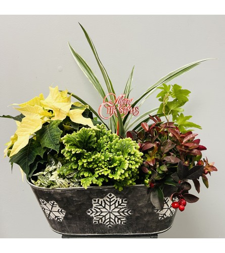 Snowflake Tin Planter. An arrangement by Marianna's Flower Island.
