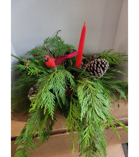 Red Cardinal Nest. An arrangement by Jane's Floral Dreams.