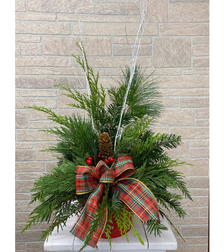 Season's Greetings Holiday Planter (AV). An arrangement by Avenida Flowers.
