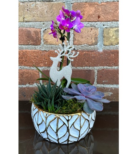 'By Design' Oh Deer Holiday Succulent