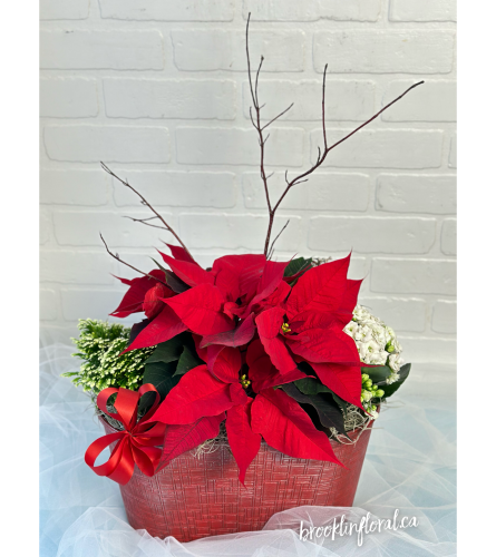 Spark JOY Holiday Garden Deluxe Oval. An arrangement by Brooklin Floral and Garden Shoppe Inc..