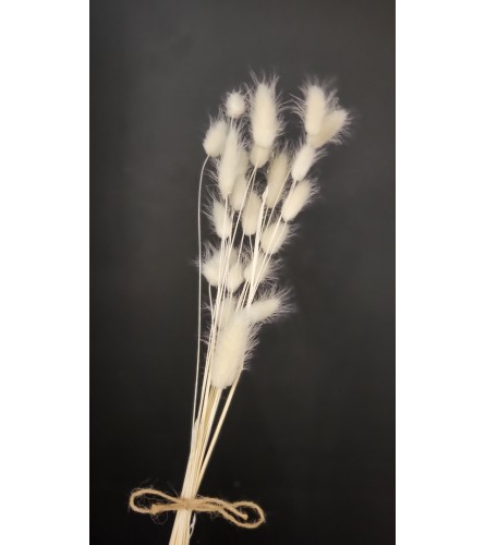 White Bunny Tails - per bunch