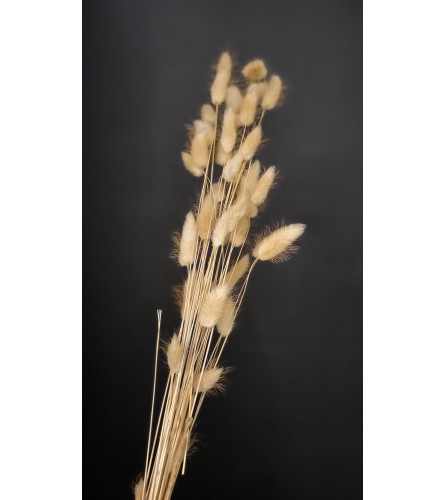 Natural Bunny Tails - per bunch