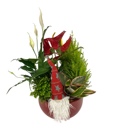 Large Christmas Red Round Anthurium Gnome Planter