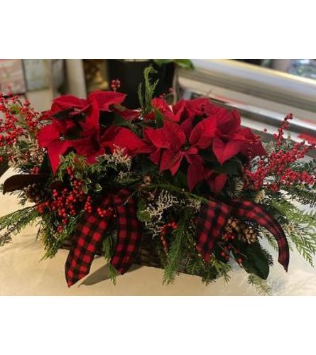 Holiday Poinsettia Basket