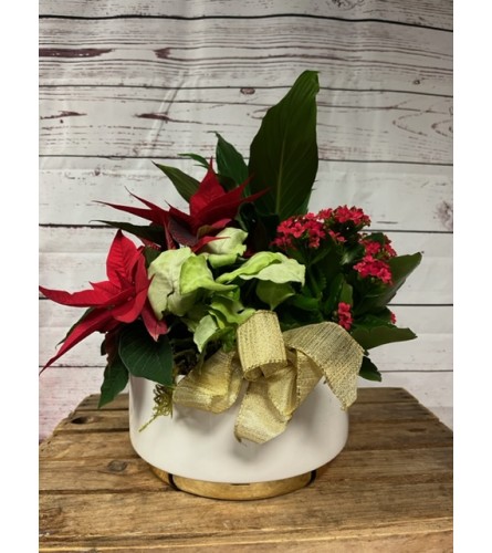 9" White ceramic Christmas planter