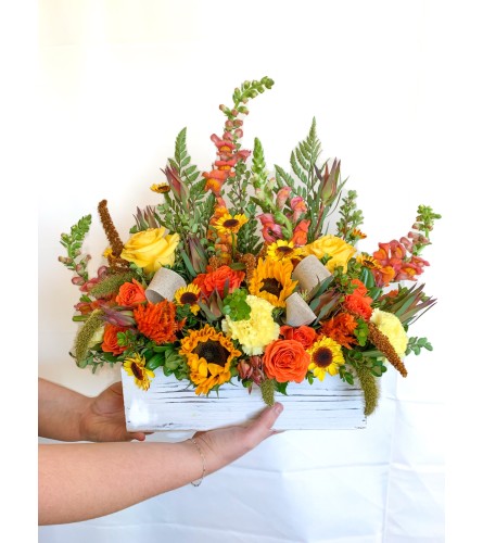 Sunflower tangerine By Rustic