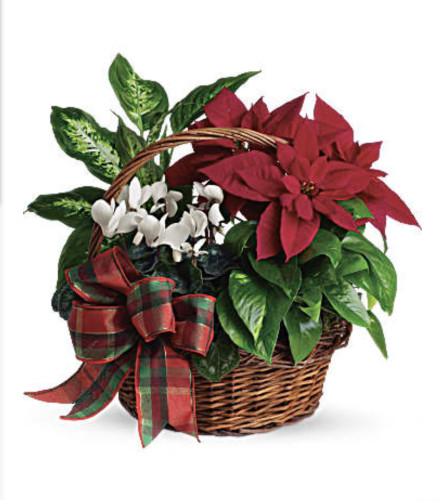 Winter basket planter