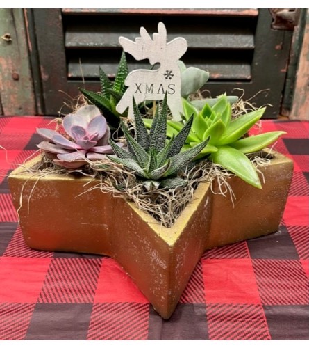 Christmas Succulent Planter