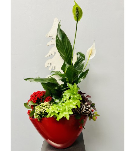 Modern Christmas Mix Planter