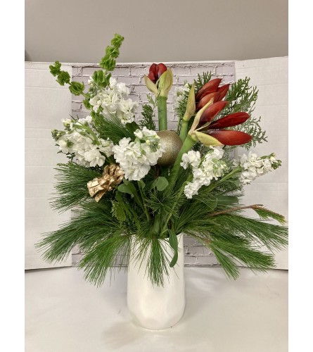 Christmas Amaryllis - Red. An arrangement by Very's Flowers.