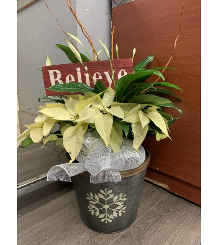 Believe planter. An arrangement by DMP Flowers and Gifts.