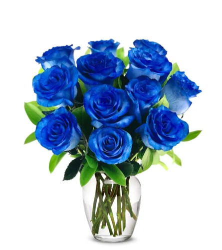 12 Classic Blue Roses